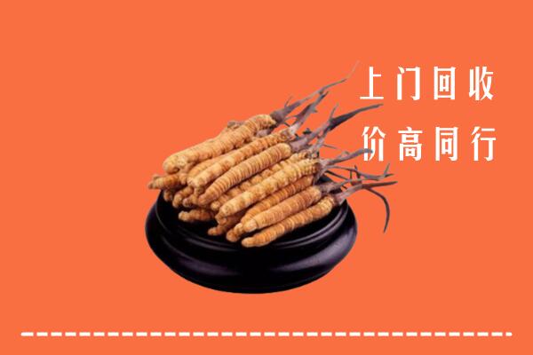 高价求购：清江浦区回收散虫草