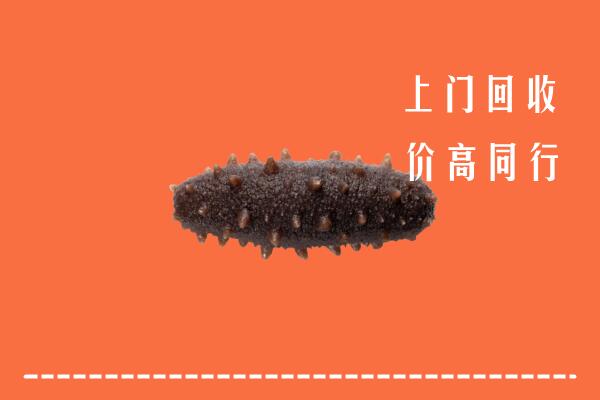 高价求购：清江浦区回收海参